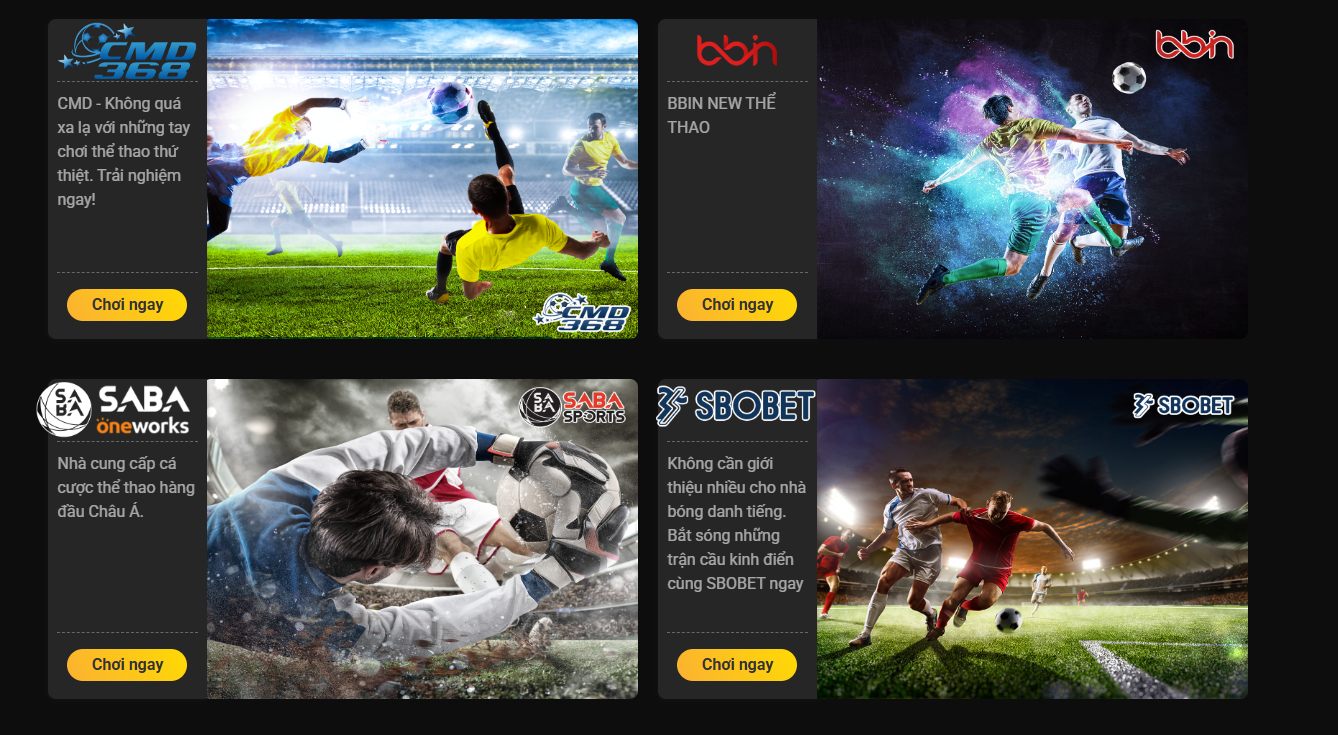 Các nhà cung cấp hợp tác với sảnh thể thao 888B