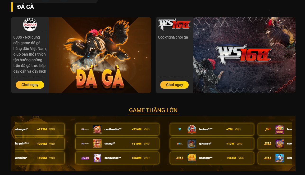 Sảnh đá gà 888B chính là lựa chọn lý tưởng